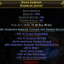 RAMBLER JACKET 13 CHAOS RES 795 EVASION 303 ENERGY SHIELD 48 SPIRIT 29 INT 25 FIRE 22 COLD RESISTS - image