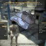 Vanguard's Sentinel Urban Scout Armor Set -15% damage while standing, AP Refresh, Str, luck, poison - image