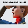 ⭐[PC] Dud Explosive Collar [DEV ROOM] [FAST DELIVERY]⭐ - image