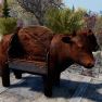 [XBOX] Brahmin Grill Plan - image