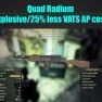 Quad Radium Rifle (Explosive/25% less VATS AP cost) - image