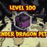 HYPIXEL SKYBLOCK [100lvl] Ender Dragon pet(not tier boost) - image