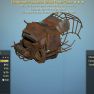 Raider Chameleon Sentinel [Full SeT] [5/5 AP][Jet Pack Helmet][Power Armor] - image
