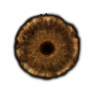 1 unit = 100 millions runes | 5 unit minimum = 500 Millions - image