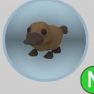 Platypus N - image