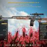 [XBOX] Anti-armor Explosive Handmade (10% Chance for Stealth Field) - image