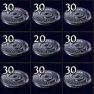 Silver Coins - Ancestor Softcore - image