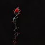 The Blood Thorn Wrapped Quarterstaff + 1 Exalted Orb - Fast Delivery - image