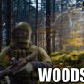 ✅ Woods Raid Carry All Loot your + Big bag [Self play] or quest raid - image
