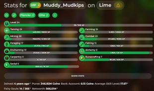 VIP+ | 566M NETWORTH | 38 MINING | SOLO-COOP - image