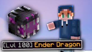 Legendary Ender Dragon Pet LVL100 (no Tier boost) +god pot gift - image