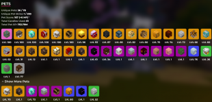 ⭐Mvp+ Rank | 2B Networth | 191 SB Lvl | 85M Purse | Cata 25 | Hotm 6 | Slayers 8/7/6/5 | Solo Coop❗ - image