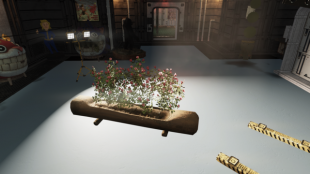 Helvetian Flower Display - image