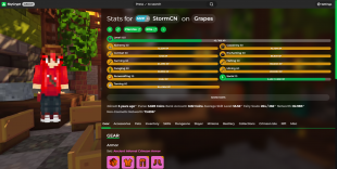 ❗️ HYPERMAXED | MVP+ RANK | SB LVL 503 | NETWORTH 83B | SA 55.56 | CATA 59 | SLAYERS 9/9/9/9/9/5 ❗️ - image
