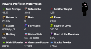 ❗️ MVP+ | NETWORTH 22B | HOTM 8 | SA 49 | SB LVL 320 | CATA 31 | SLAYERS 8/7/7/7/4/3 | 29 MINION ❗️ - image