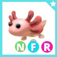 Axolotl NFR - Adopt Me - image