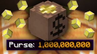 100M - SKYBLOCK COINS [$42/1B] Safe & Cheaper Than Getting Banned! - image