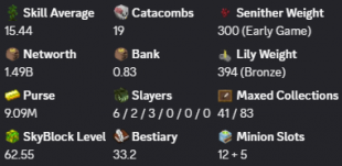 ✳️❗️ Solo-Coop | VIP+ | 62 SB lvl | 15 AVG | Cata 19 | 1.4b NW | Full accept | Hypixel SkyBlock ❗️✳️ - image