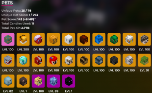 ⭐14B Networth | 5B Purse | 778 MP | Many Pets | 24 Minion Slots | 67 Collections Maxed❗Solo Coop - image