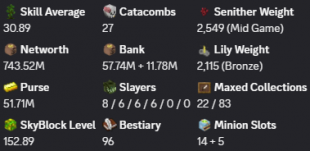 ✅❗️Solo-Coop | MVP+ | 152 SB lvl | 30 AVG | Cata 27 | 743M NW | Full accept | Hypixel SkyBlock - image