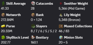 ✅❗️Solo-Coop | VIP+ | 202 SB lvl | 41 AVG | Cata 28 | 272M NW | Full accept | Hypixel SkyBlock❗️✅ - image