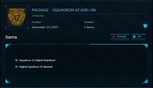 ⭐️Package - Squadron 42 Add-On [Squadron package gift]⭐️ - image