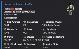 1.1B NW / 250M PURSE / 20 CATA / 30 SA / 124 LVL SB / 3 HOTM / GOOD SLAYERS / MAIL - image