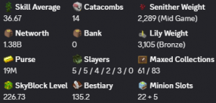 ✳️❗️ Solo-Coop | 226 SB lvl | 37 AVG | 1.33b NW | Full accept | Hypixel SkyBlock ❗️✳️ - image