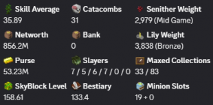 ✅❗️Solo-Coop | MVP+ | End. slayer 7 | 158 SB lvl | Cata 31 | 856M NW | Full acept | Hypixel SkyBlock - image