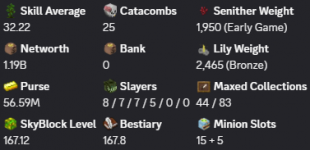 ✳️❗️ Solo-Coop | MVP+ | 167 SB lvl | Cata 25 | 32 AVG | 1.19b NW | Full accept | Hypixel SkyBlock ✳️ - image
