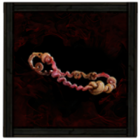 Umbilicus Immortalis Linen Belt - Fast Delivery - image