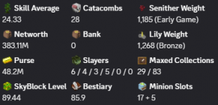 ✅❗️Solo-Coop | VIP+ | 89 SB lvl | 24.33 AVG | Cata 28 | 383.2M NW | Full accept | Hypixel SkyBlock❗️ - image