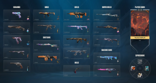 AP REGION | Lvl 253 | Valorant Account | Great Skins & Peak Plat Rank - image