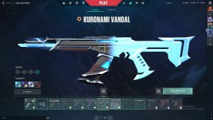 Valorant Premium Account for Sale - image