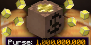HYPIXEL SKYBLOCK COINS CHEAPEST/FASTEST ON MARKET - image