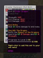 HYPIXEL SKYBLOCK ENDER DRAGON - image