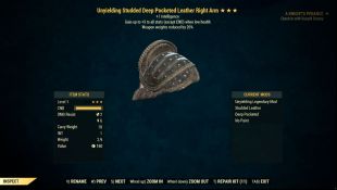 Unyielding Leather Armor Level 1 (Weapon Weight Reduction/Intelligence) 5/5 Full Set - image