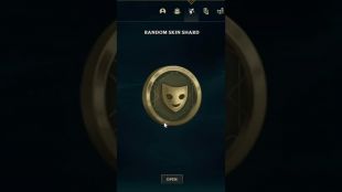 RANDOM SKIN 490RP - image