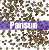✅All Platform Pansun✅10k per unit ✅PC STEAM PS XBOX ✅Cheapest ✅Instant Delivery - image