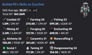 1.3B NW / 150M PURSE / 24 CATA / 32 SA / 135 LVL SB / GOOD SLAYERS / 3 HOTM / 7 GARDEN / MAIL - image