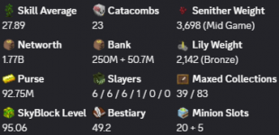 ✳️❗️ Solo-Coop | 95 SB lvl | Cata 23 | 27 AVG | 1.74b NW | Full accept | Hypixel SkyBlock ✳️ - image