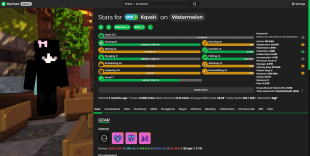 ❗️ MVP+ | NETWORTH 22B | HOTM 8 | SA 49 | SB LVL 320 | CATA 31 | SLAYERS 8/7/7/7/4/3 | 29 MINION ❗️ - image