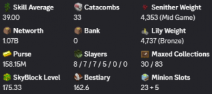 ✳️❗️ VIP+ | 175 SB lvl | 39 AVG | Cata 33 | 1.07b NW | Hypixel SkyBlock ❗️✳️ - image