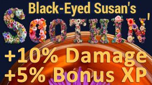 Black-Eyed Susan's soothin' x50 pcs - image