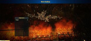 [PS] Moist Radkelp (display item) x4pcs. Set - image