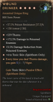 ✅Eternal✅800IP✅Wound Drinker✅4GA✅Aspect 5 - image