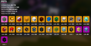 ⭐14B Networth | 5.15B Purse | 778 MP | Many Pets | 24 Minion Slots | 67 Collections Maxed❗Solo Coop - image