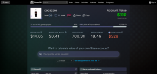LEVEL 53-3.8 YO ACC + 41 GAMES ( 463€ ) + CS GO ITEM, REP ON CSGOREP AND STEAM TRADES - image