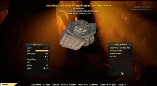 Unyielding Leather Armor Level 1 (Weapon Weight Reduction/Intelligence) 5/5 Full Set - image