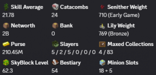✳️❗️ Solo-Coop | VIP | 62 SB lvl | 21 AVG | Cata 24 | 2.13b NW | Full accept | Hypixel SkyBlock ❗️✳️ - image